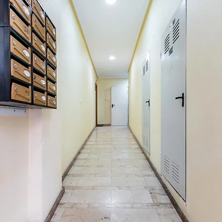 Estudio Santa Trinidad